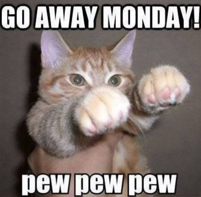 Cat with paws up, saying "Go away Monday!" in a playful Sunday meme.