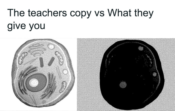 Teacher meme highlighting the hardships: a perfect diagram on the left vs. a dark, blurry copy on the right.