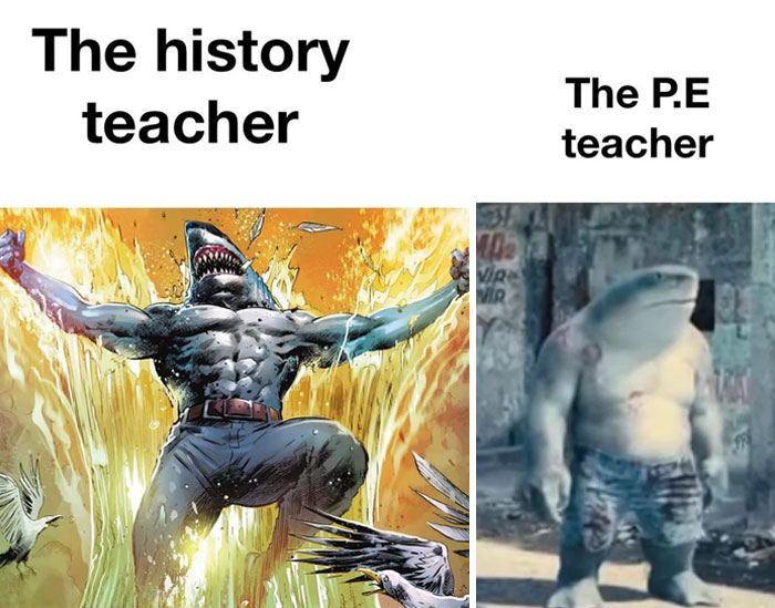 A meme comparing a muscular, comic-style shark labeled "The history teacher" and a casual, cartoon-style shark labeled "The P.E. teacher."