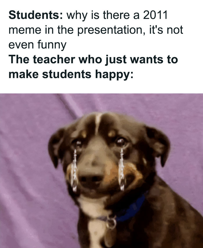 Teacher meme showing a dog with tears, capturing the struggle of educators trying to make students happy.