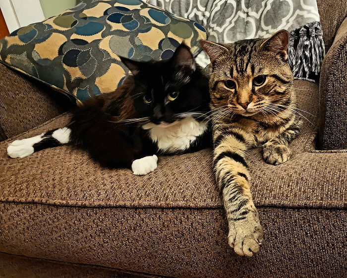 Brothers From Different Fathers