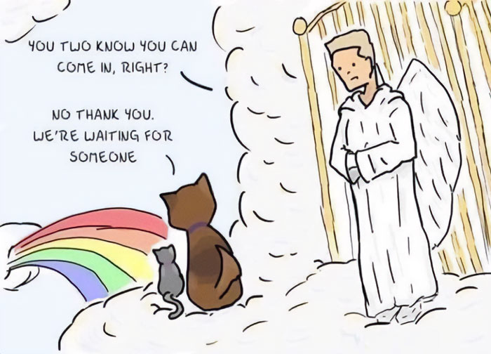 Waiting meme of an angel by a gate, talking to a cat and dog facing a rainbow, implying they are in heaven waiting for their owner.