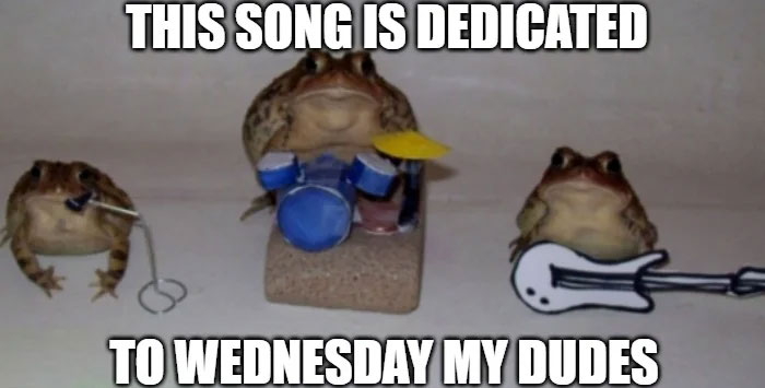 Three toads as a band in a Wednesday meme, with text: "This song is dedicated to Wednesday my dudes."