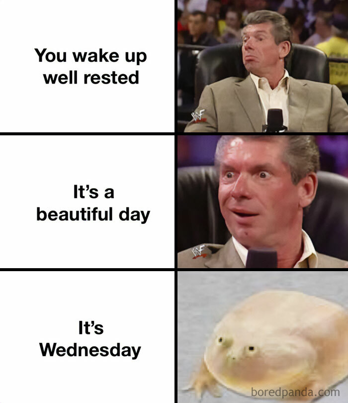 Three-panel Wednesday meme: surprised man waking rested, excited for a beautiful day, then a blank-faced toad with "It's Wednesday."
