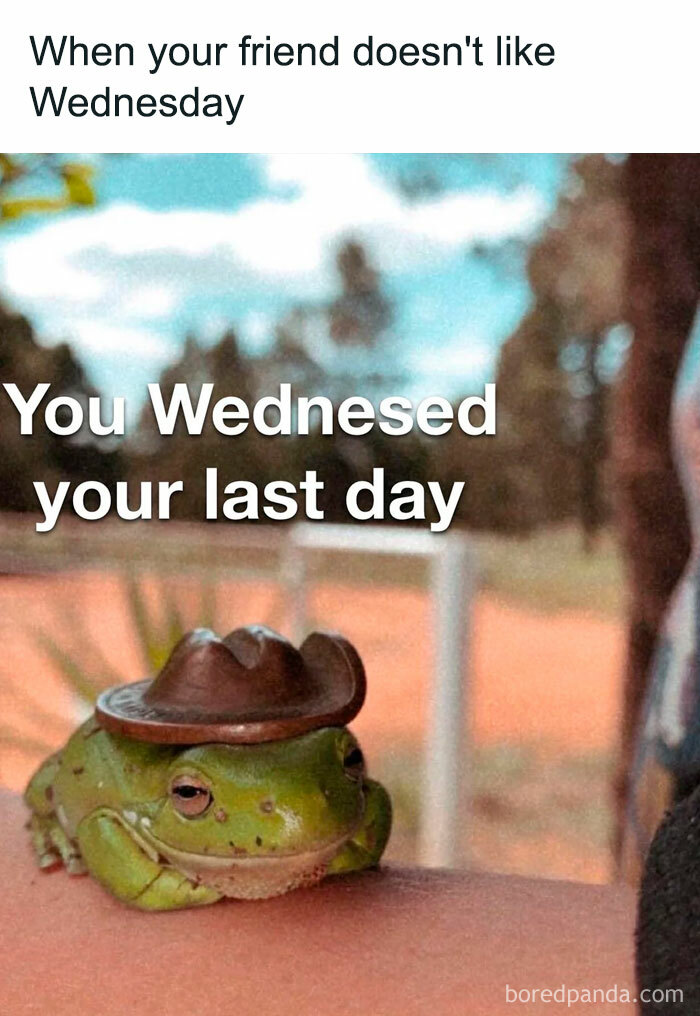 Cute frog with cowboy hat in Wednesday meme humorously declaring, "You Wednesed your last day," for midweek mood boost.