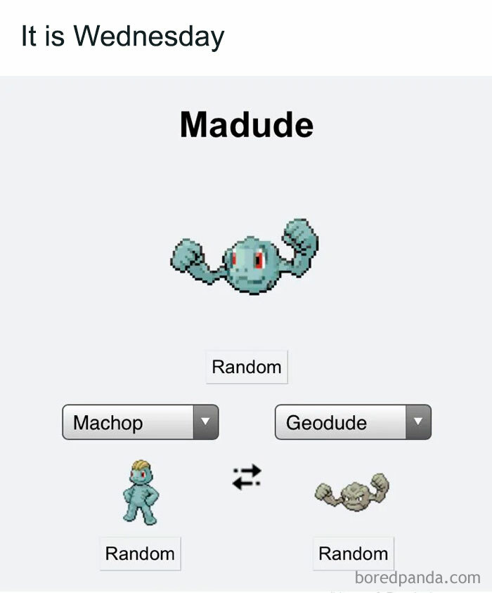 Wednesday meme with Pokémon fusion character Madude, combining Machop and Geodude. Text: "It is Wednesday."