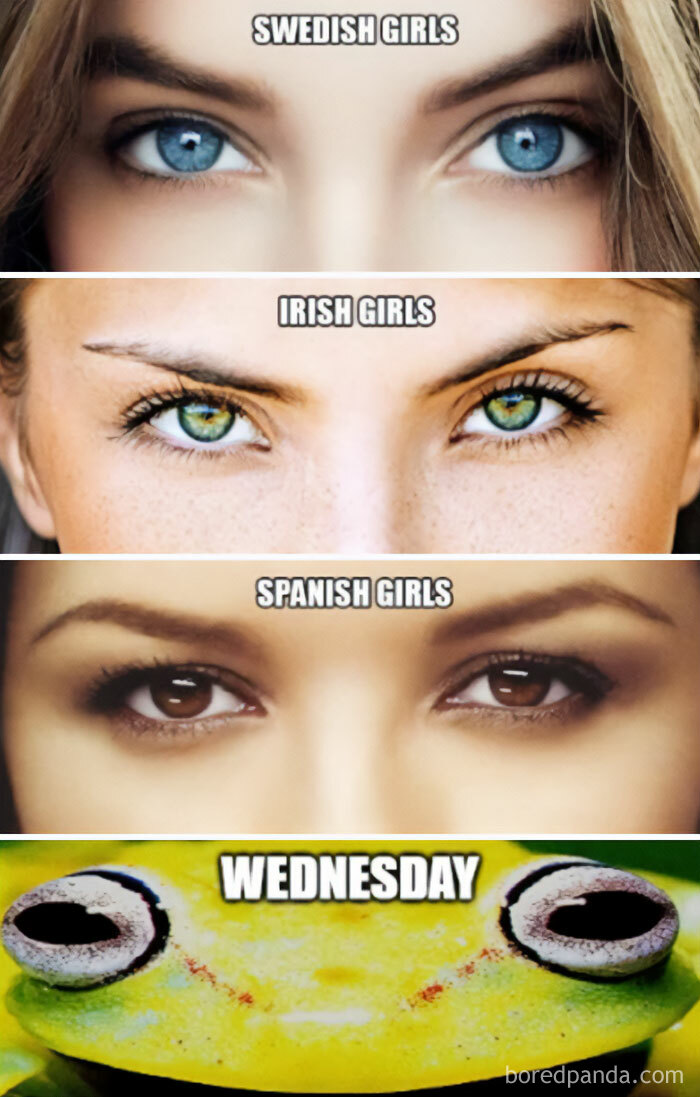 Wednesday meme with girls' eyes labeled by nationality and a frog for humor.
