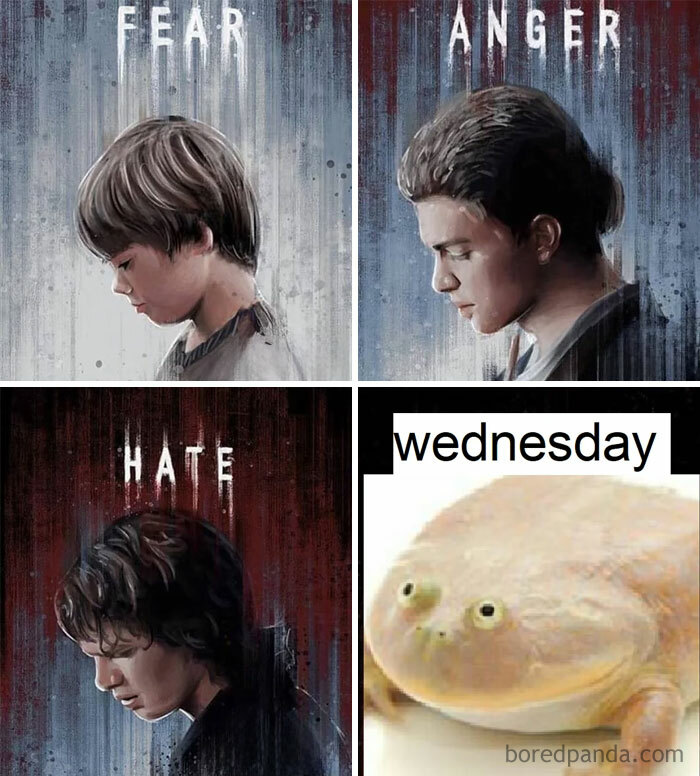 Four-panel Wednesday meme: emotional stages "Fear," "Anger," "Hate" ending with a toad labeled "Wednesday" humorously.