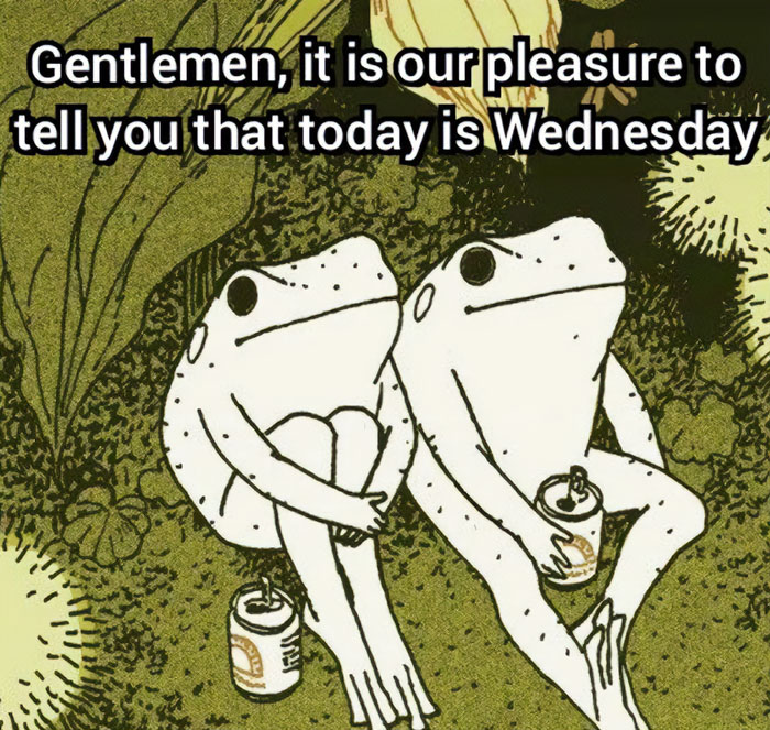 Two frogs announcing Wednesday with cans in hand, relaxing in nature.