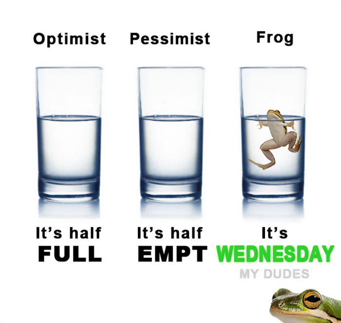 Three glasses labeled optimist, pessimist, frog. Frog glass says "It's Wednesday my dudes" with a frog inside. Wednesday meme.