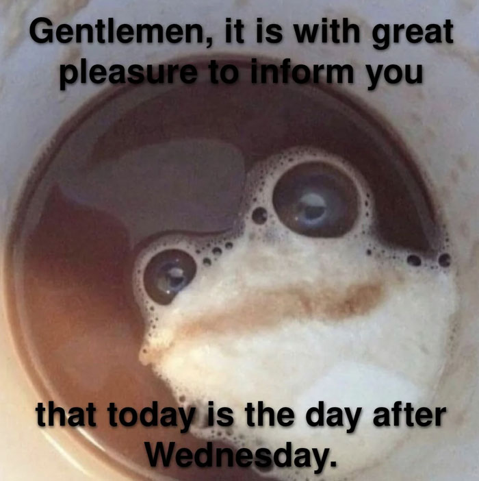 A Wednesday meme with coffee foam resembling a frog's face, humorously noting the day after Wednesday.