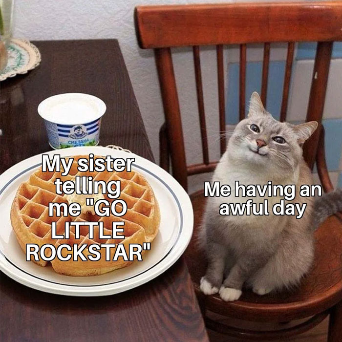 Cat meme with "You can do it" theme: Cat at table with waffles, text contrasts its mood and motivational phrase "GO LITTLE ROCKSTAR".