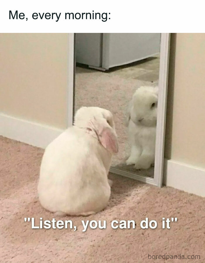 Bunny on carpet giving itself a "You can do it" pep talk in mirror, text: "Me, every morning: Listen, you can do it."