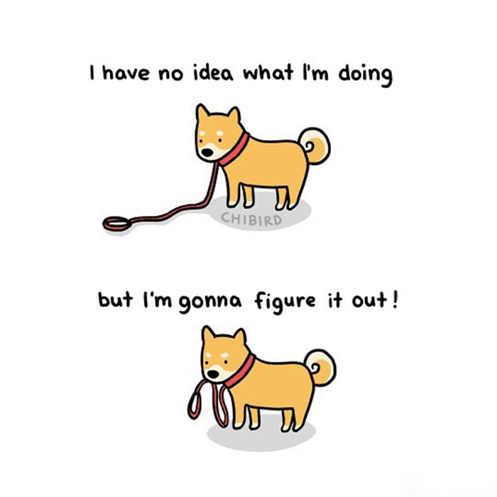 "You can do it" meme with a confused yellow dog holding a leash, then determined to figure it out.