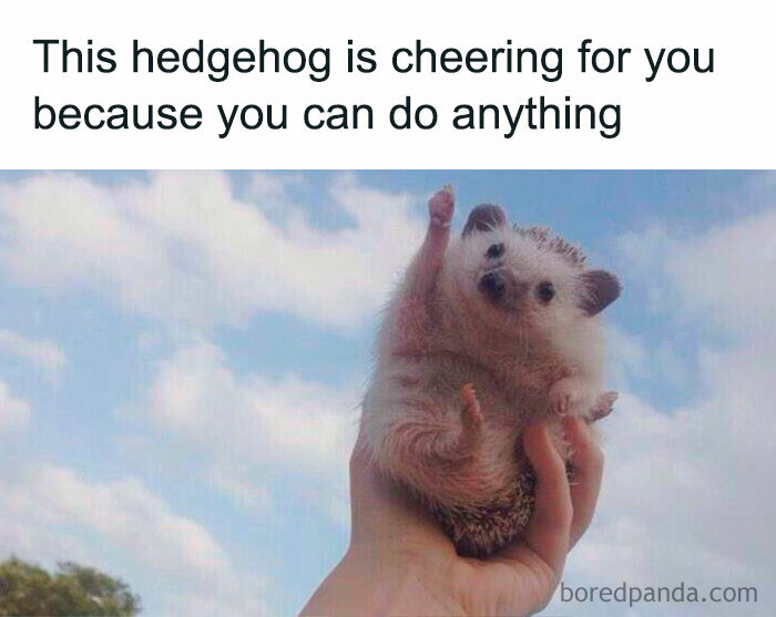 Cute hedgehog meme with raised paw, inspiring with "You can do it" message against a cloudy sky background.