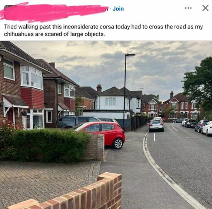 My Chihuahuas Are Scared Of Large Objects