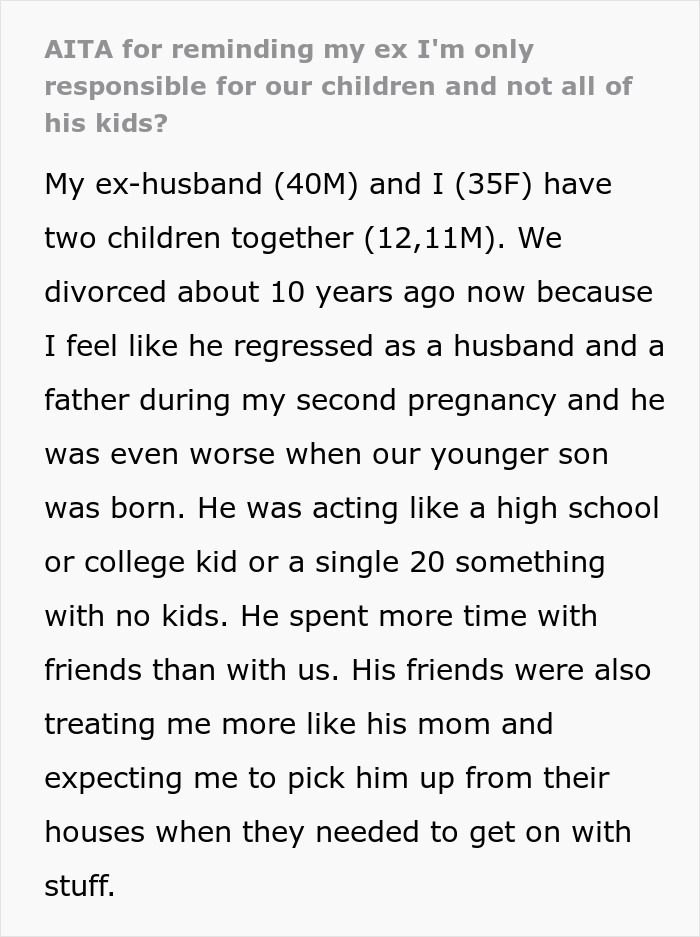 &ldquo;AITA For Reminding My Ex I&rsquo;m Only Responsible For Our Children And Not All Of His Kids?&rdquo;