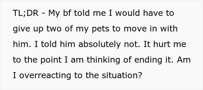 BF Expects GF To Give Away Her Pets To Move In With Him, She Considers Ending The Relationship BF Expects GF To Give Away Her Pets To Move In With Him, She Considers Ending The Relationship