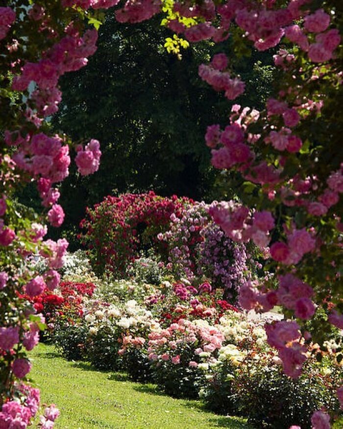 Beautiful-Gardens-Instagram