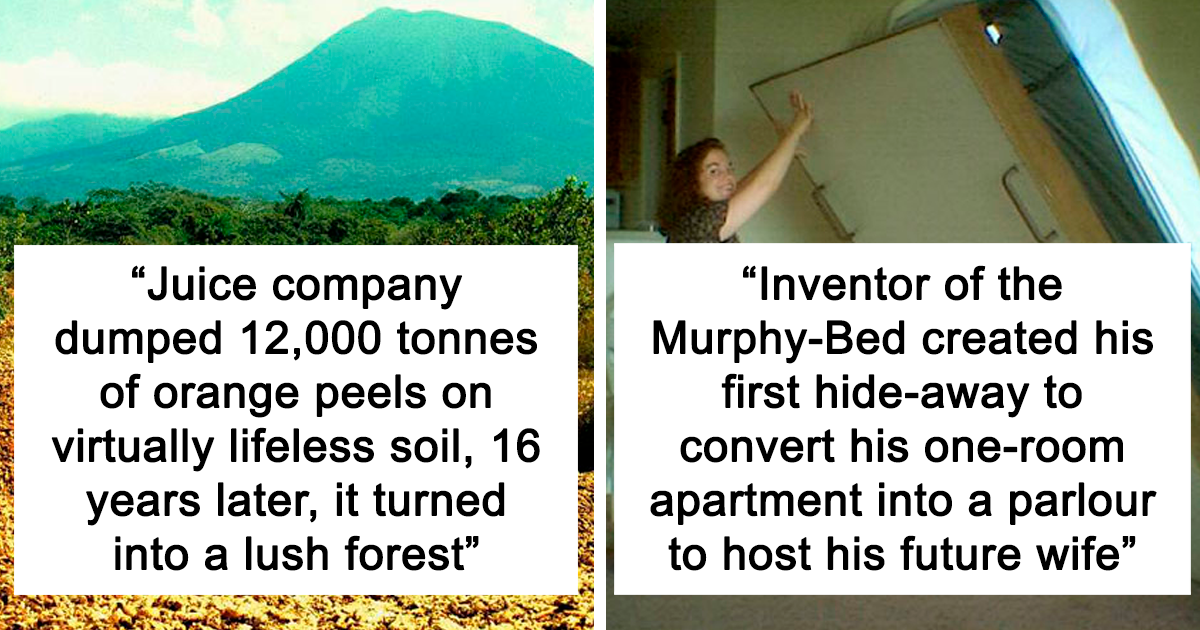 Today I Learned: 46 Of The Most Intriguing Facts