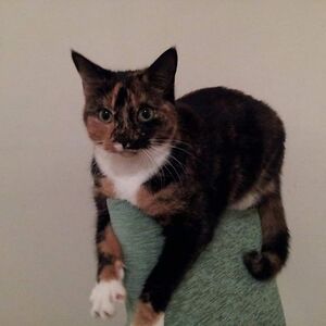 joannaeandrews avatar