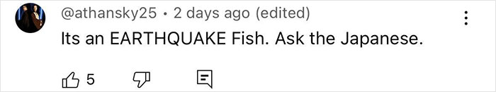 “Bad Omen”: Rare Sea Serpent Surfaces In San Diego Waters, Linked To Earthquake Legend “Bad Omen”: Rare Sea Serpent Surfaces In San Diego Waters, Linked To Earthquake Legend