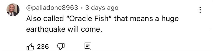 “Bad Omen”: Rare Sea Serpent Surfaces In San Diego Waters, Linked To Earthquake Legend “Bad Omen”: Rare Sea Serpent Surfaces In San Diego Waters, Linked To Earthquake Legend