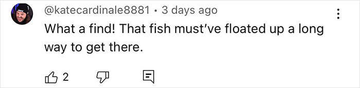 “Bad Omen”: Rare Sea Serpent Surfaces In San Diego Waters, Linked To Earthquake Legend “Bad Omen”: Rare Sea Serpent Surfaces In San Diego Waters, Linked To Earthquake Legend