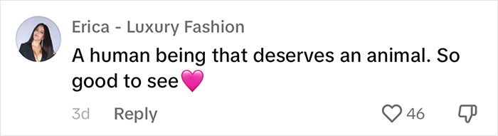 Video Of Guy Trying To Convince His Dog To Keep Walking Home Goes Viral As The Dog Refuses To Move Video Of Guy Trying To Convince His Dog To Keep Walking Home Goes Viral As The Dog Refuses To Move