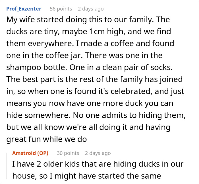 Guy Hides 200 Ducks In His Mom&rsquo;s House To Get Back At Her For Junk, His &ldquo;Revenge&rdquo; Backfires