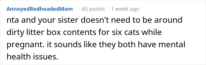 Family Threatens Pregnant Sister With Custody Of The Baby Because Of Her “Zoo-Like”, Filthy Home Family Threatens Pregnant Sister With Custody Of The Baby Because Of Her “Zoo-Like”, Filthy Home