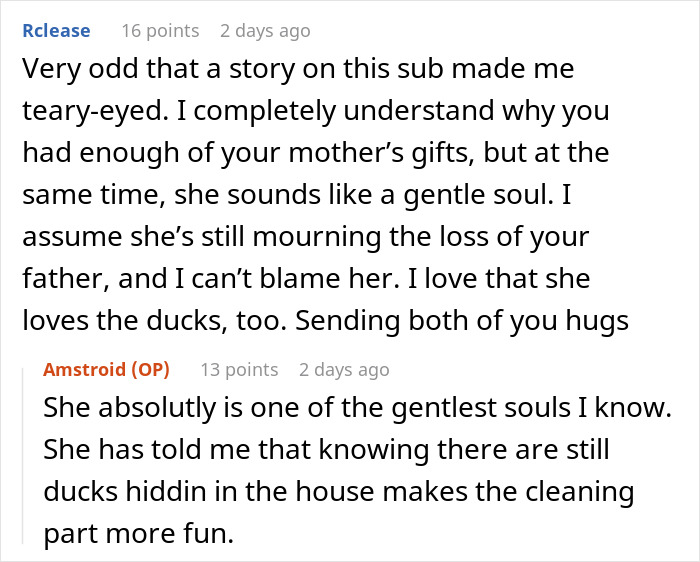 Guy Hides 200 Ducks In His Mom&rsquo;s House To Get Back At Her For Junk, His &ldquo;Revenge&rdquo; Backfires