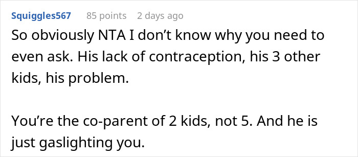 &ldquo;AITA For Reminding My Ex I&rsquo;m Only Responsible For Our Children And Not All Of His Kids?&rdquo;