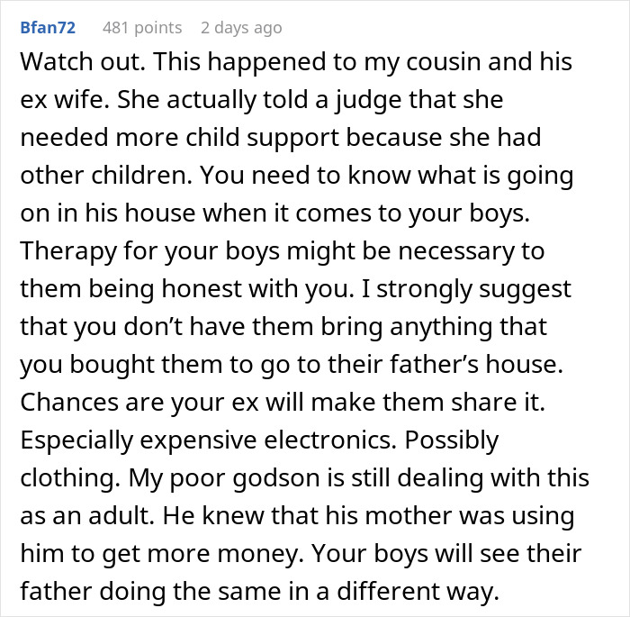 &ldquo;AITA For Reminding My Ex I&rsquo;m Only Responsible For Our Children And Not All Of His Kids?&rdquo;