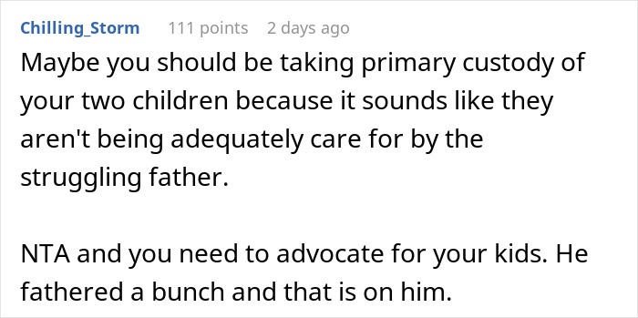 &ldquo;AITA For Reminding My Ex I&rsquo;m Only Responsible For Our Children And Not All Of His Kids?&rdquo;