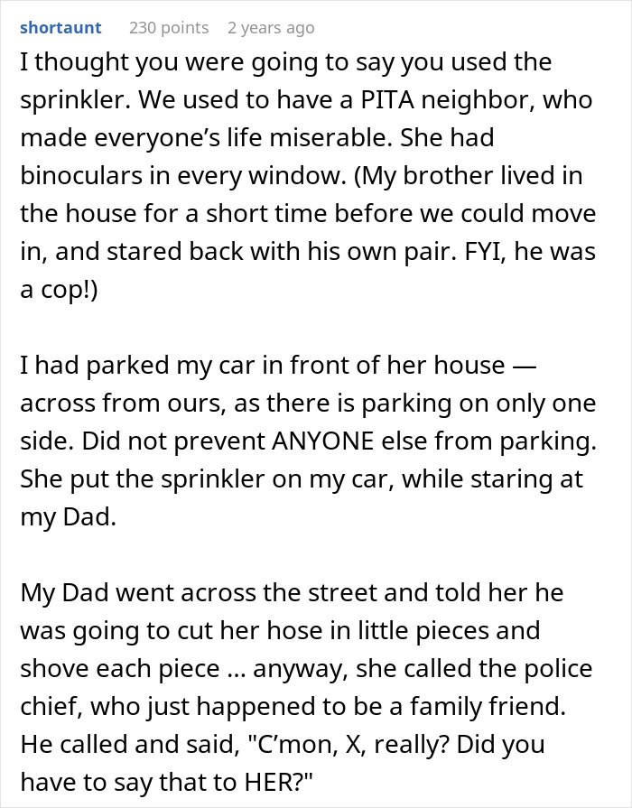 Neighbor Leaves Car Blocking Person&rsquo;s Driveway, They Stand Back And Let Nature Take Revenge