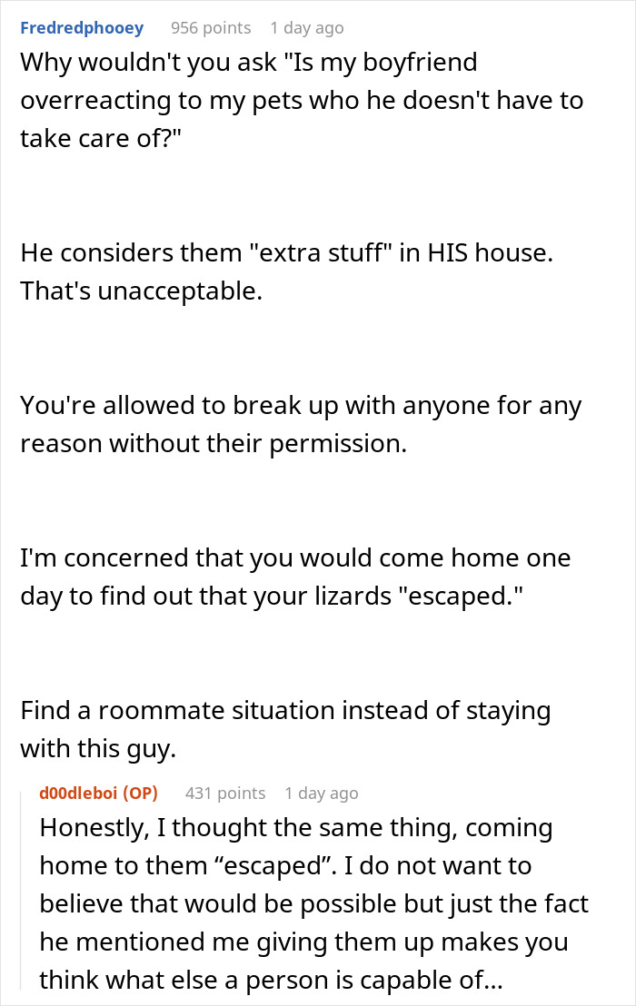 BF Expects GF To Give Away Her Pets To Move In With Him, She Considers Ending The Relationship BF Expects GF To Give Away Her Pets To Move In With Him, She Considers Ending The Relationship
