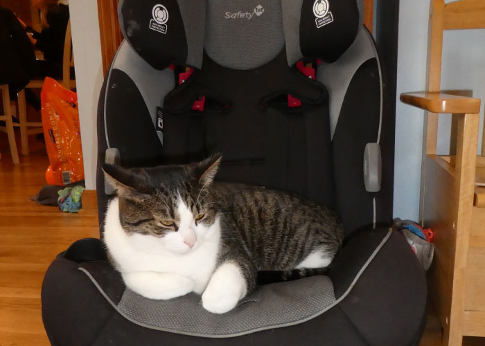 “What’s A Common Rule That You Break Regularly Because You Fundamentally Disagree With It?” (45 Answers)