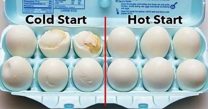 50 Informative Diagrams And Charts That Might Change The Way You Look At Food (New Pics)