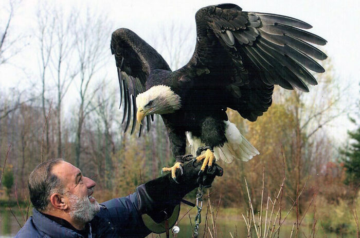 My Awesome 83-Year-Old Grandfather With A Bald Eagle