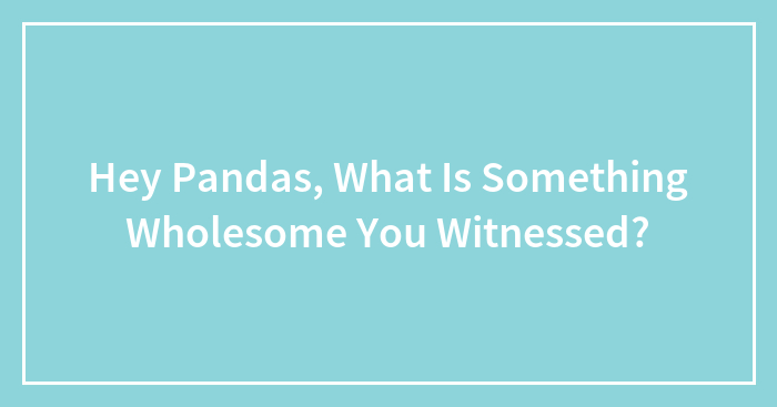 Hey Pandas, What Is Something Wholesome You Witnessed? (Closed)
