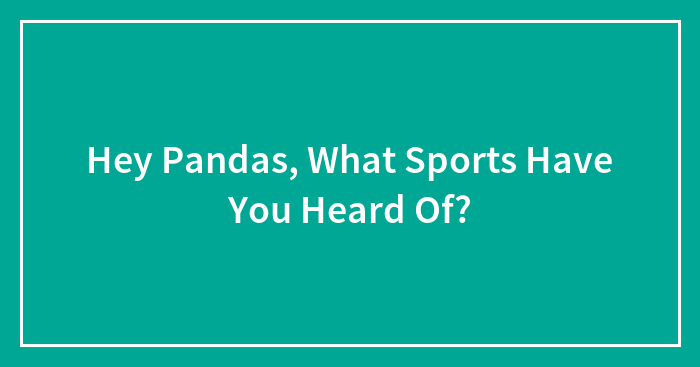 Hey Pandas, What Sports Have You Heard Of? (Closed)