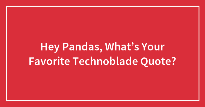 Hey Pandas, What’s Your Favorite Technoblade Quote?