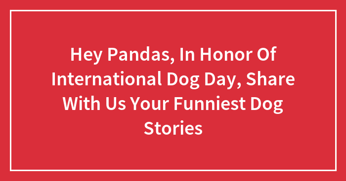 Hey Pandas, In Honor Of International Dog Day, Share With Us Your Funniest Dog Stories (Closed)
