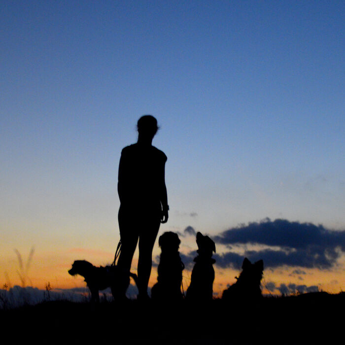 I Take Photos When I Hike (35 Pics)