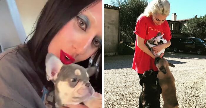 Lady Gaga Introduces New Pup Three Years After “Violent” Dognapping Horror