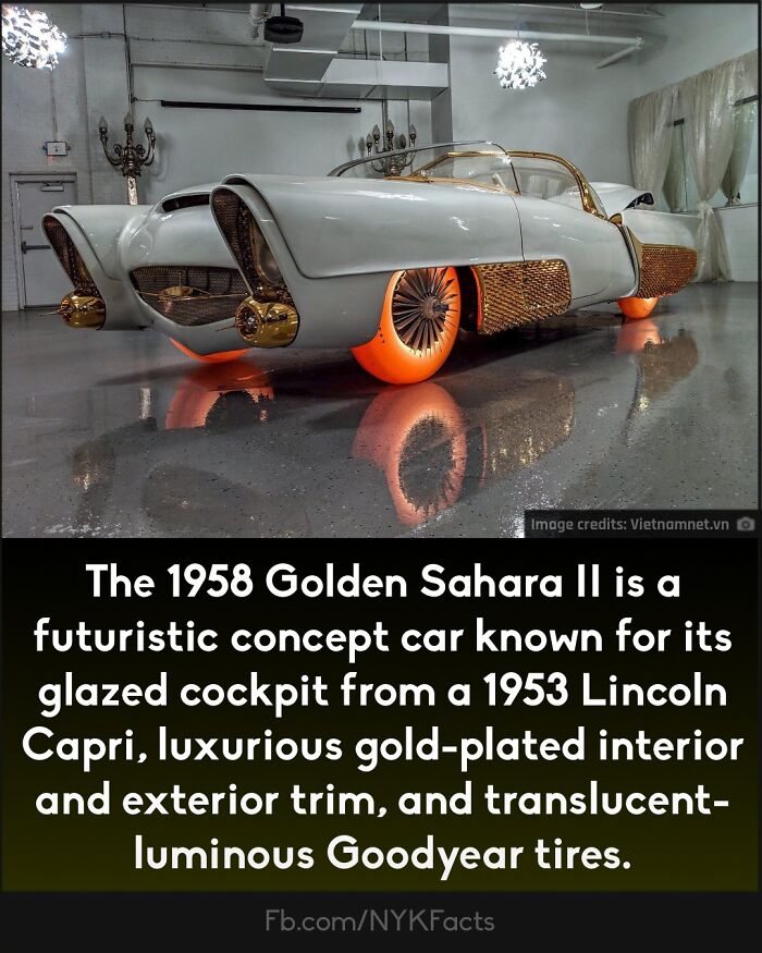 Curious-Facts-Now-You-Know