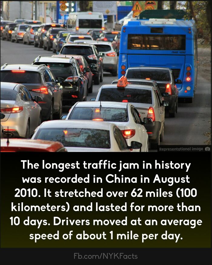 Curious-Facts-Now-You-Know