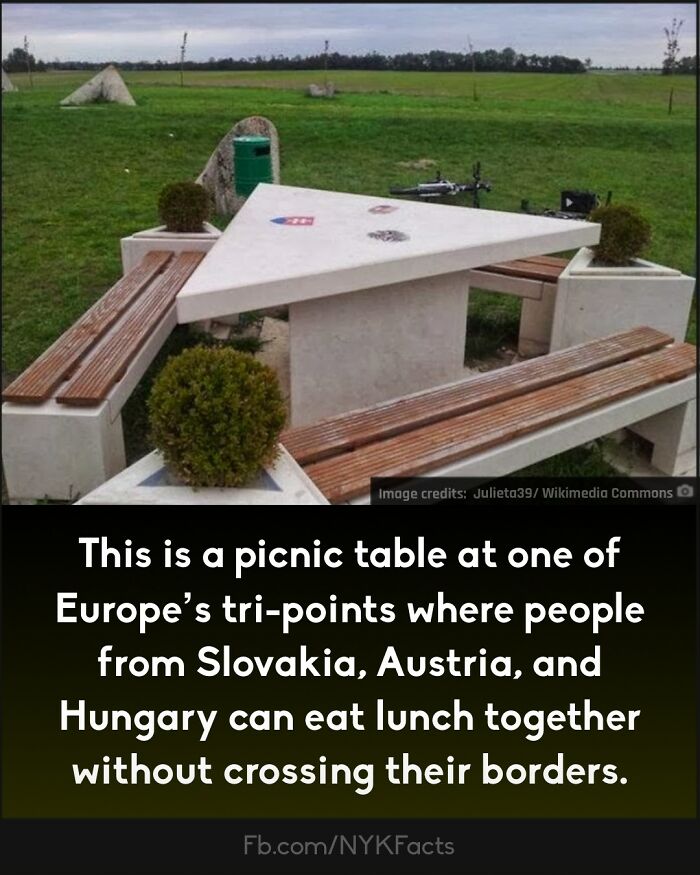 Curious-Facts-Now-You-Know