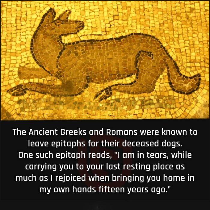 Curious-Facts-Now-You-Know